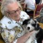 Puppy’s op bezoek 65886319_470880150343435_5761143619025108992_n